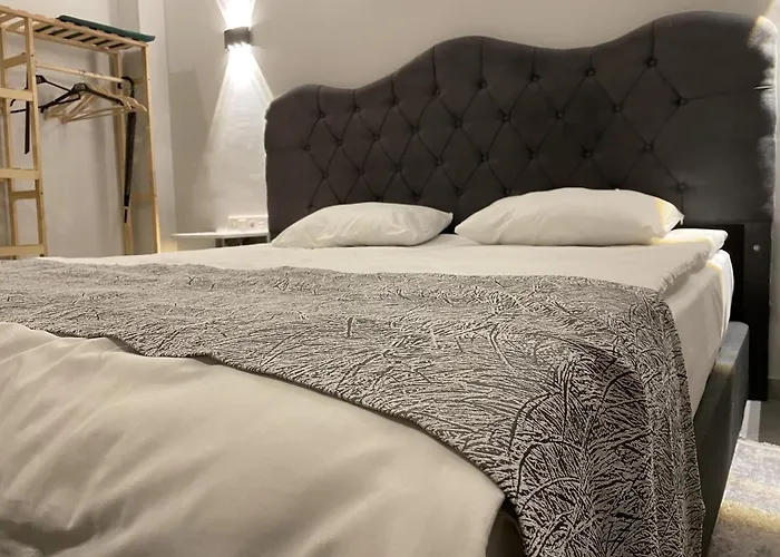 Turna * 伊斯坦布尔